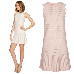 NWT Ted Baker London Flippy Metallic Jaq Dress in Baby Pink Sz 1 (US 4)